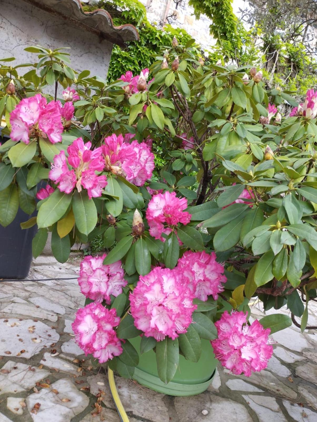 אובנה Gite 3 "Le Canal De Baza" Aux Magnolias מראה חיצוני תמונה