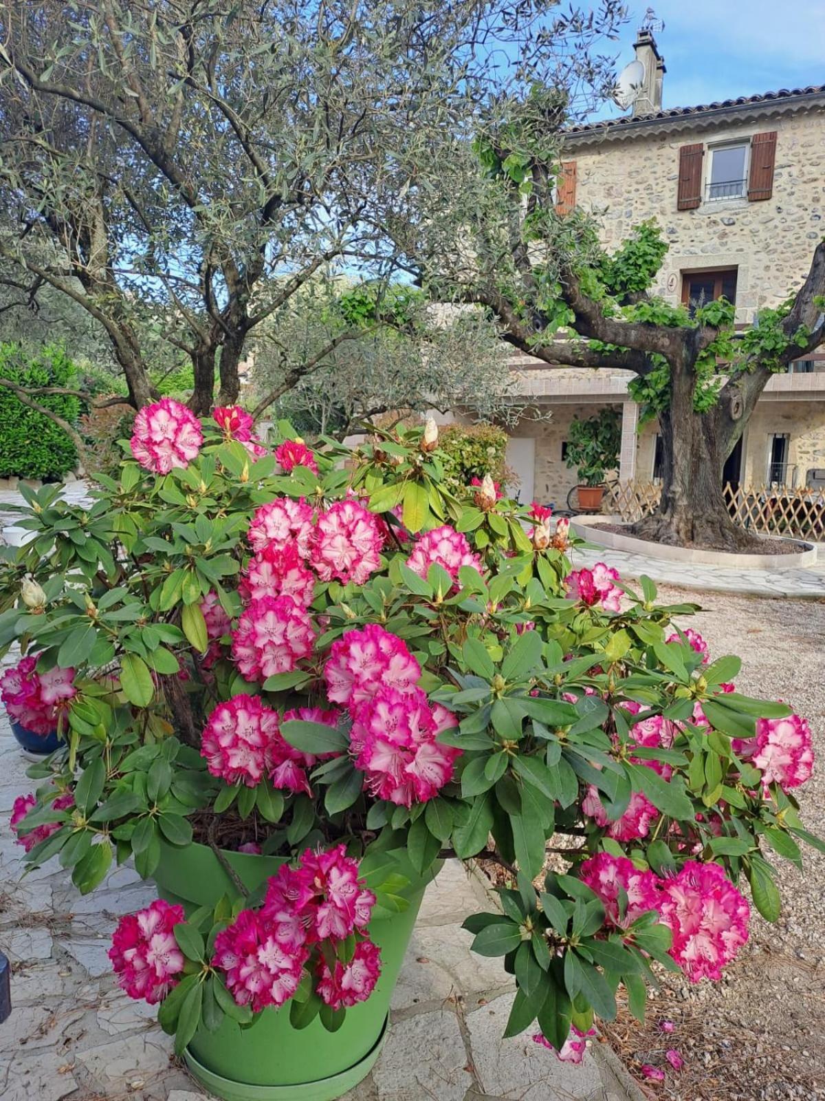 אובנה Gite 3 "Le Canal De Baza" Aux Magnolias מראה חיצוני תמונה