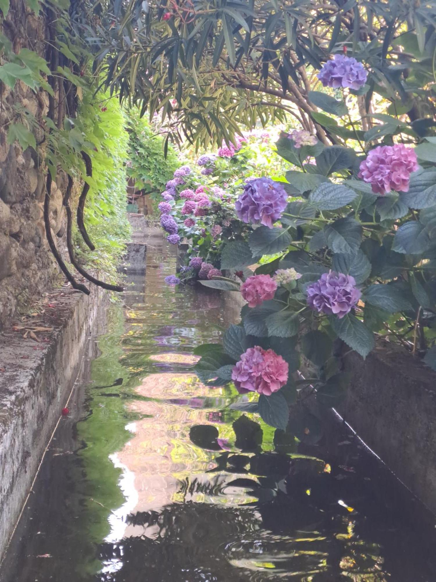 אובנה Gite 3 "Le Canal De Baza" Aux Magnolias מראה חיצוני תמונה