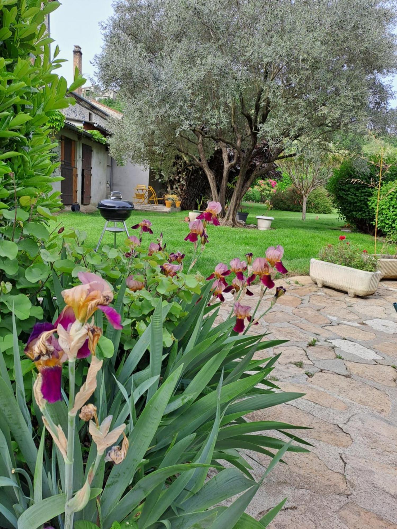 אובנה Gite 3 "Le Canal De Baza" Aux Magnolias מראה חיצוני תמונה